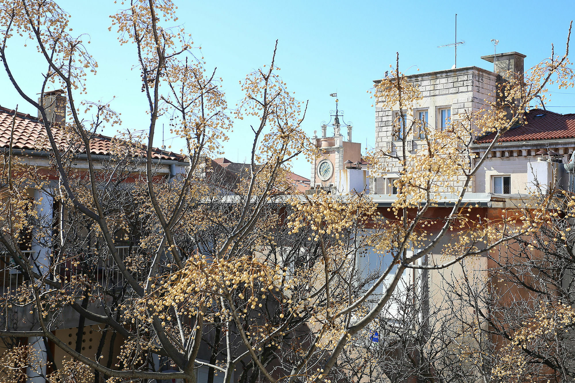 Bed & Breakfast Prestige Design Zadar